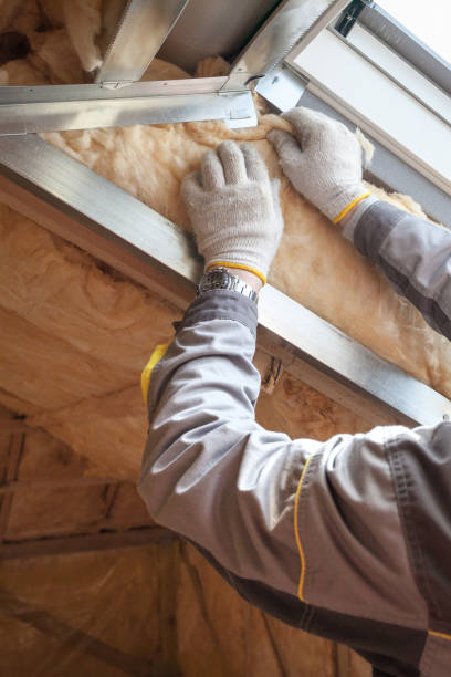 Best Residential Insulation in Buffalo Center, IA